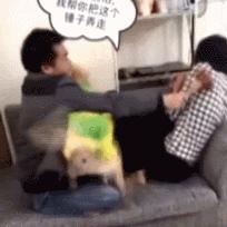 成都市锤子锤火锅店地址的长尾关键词有什么