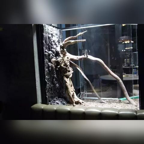 成都市热带雨林在哪里