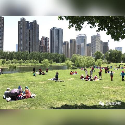 沈阳动物园野餐必备相关长尾关键词有哪些