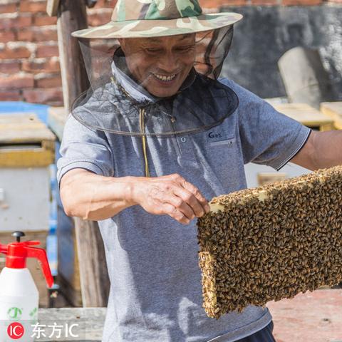 西安市什么地方批发蜂蜜