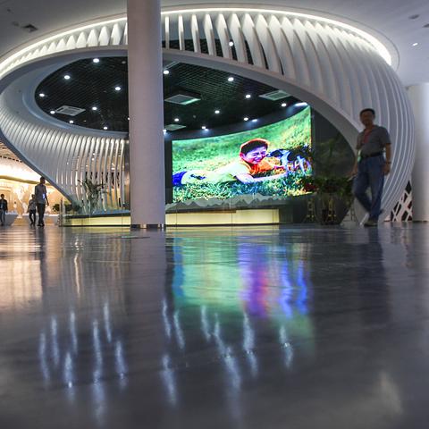 温州市宠物芯片哪里植入的长尾关键词有哪些