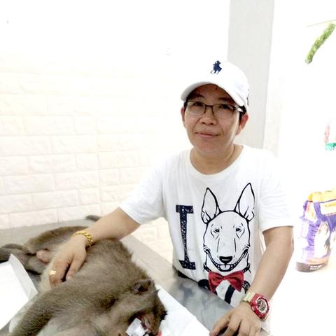 兽医的软件的长尾关键词有哪些