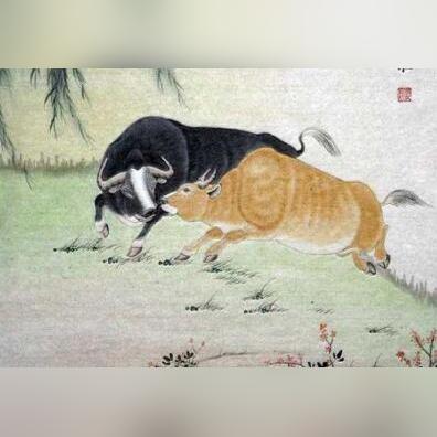 牛生肖近日运势查询表(牛生肖近日运势查询表图片)