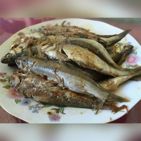 沈阳到哈尔滨的列车相关长尾关键词有哪些