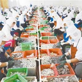 跨境电商证书怎么查