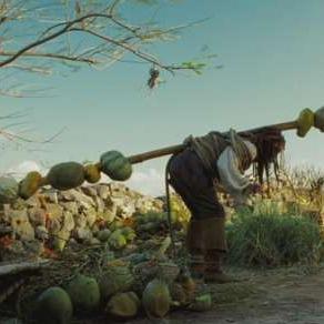 烤熟螃蟹什么电影