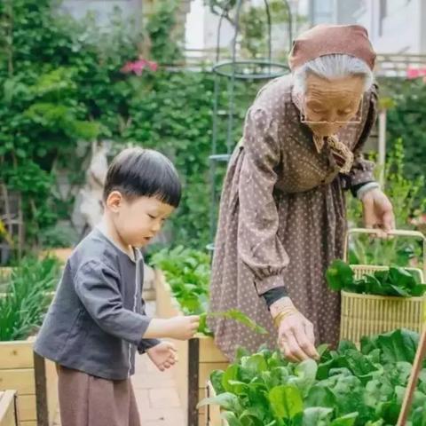 武汉窗帘诗的长尾关键词有什么