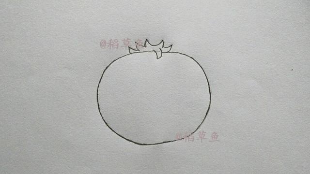 番茄可以做什么美食简笔画
