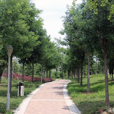 广州云台公园相关长尾关键词有哪些