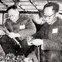沈阳户口查询系统？