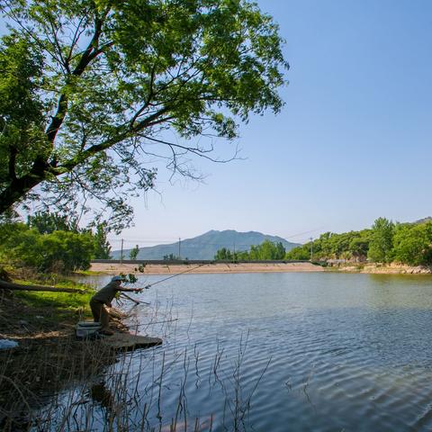 济南市长热线做什么的