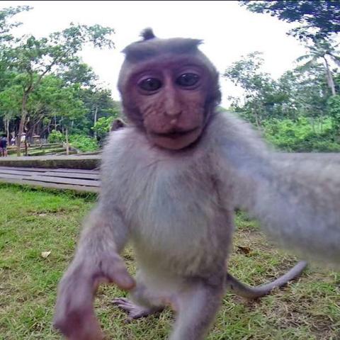 自拍网站设计素材相关长尾关键词有哪些