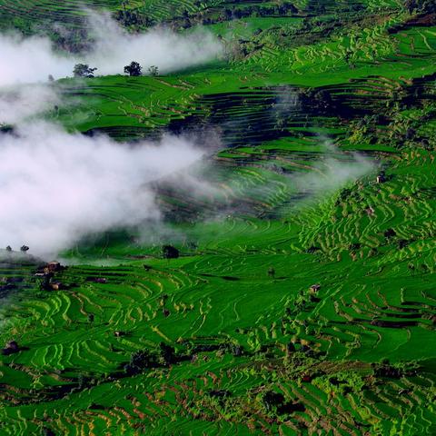 昆明市到文山多少车费