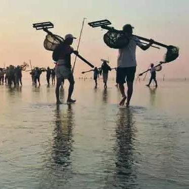 南通市如皋区有多少镇