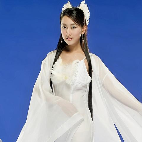 哈尔滨市有多少学院