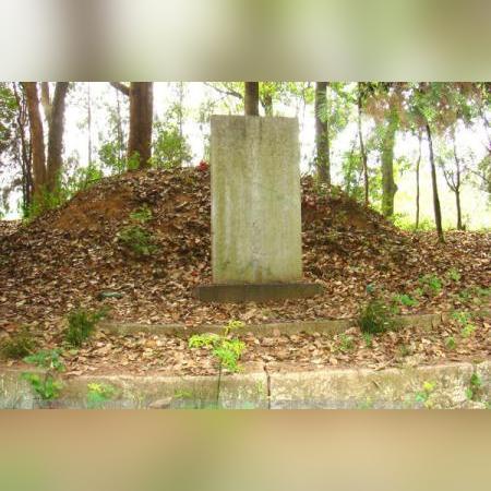 指尖麻将豆子有什么用？