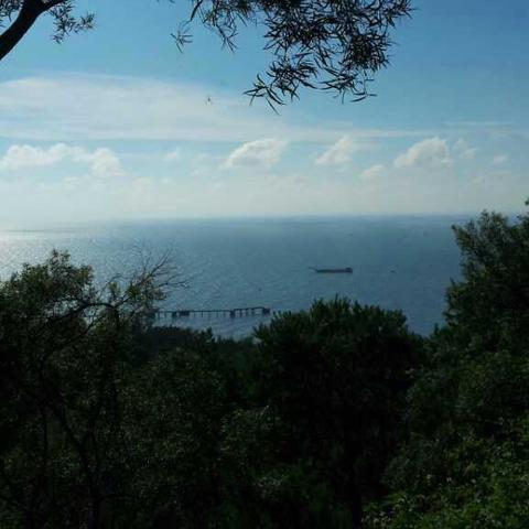 广州日落爬山相关长尾关键词有哪些