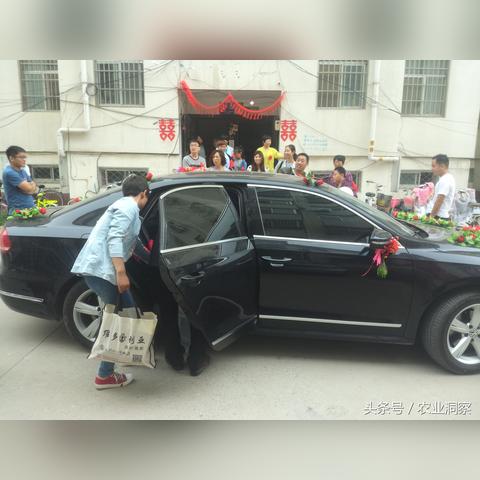 菏泽市婚车队电话多少