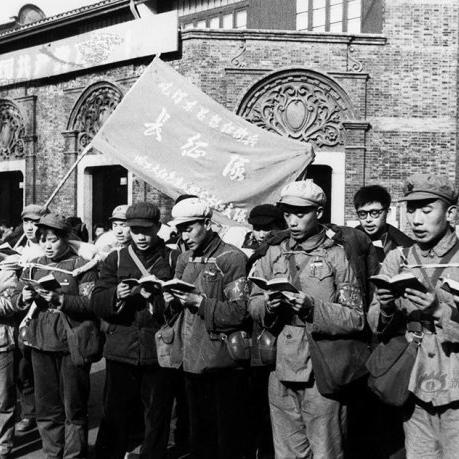 哈尔滨市哪个小学停课了