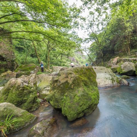 温州市可倾式燃气锅厂家的长尾关键词有哪些