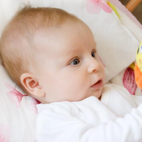 生肖蛇10年内运势(属蛇的人十年大运的人生走向)