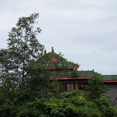 姓名八字五行(姓名八字五行测算免费查询)