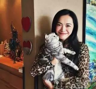 给宝宝起名陈乔恩怎么样(如何评价独孤天下)