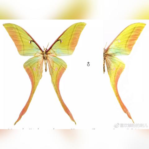 配色软件园的长尾关键词有什么