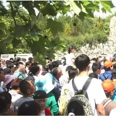 端午节运势最好的生肖(端午节属相)