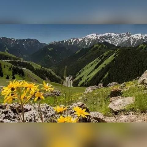 桂林市哪里有苹果电脑卖