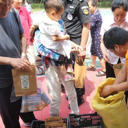 西安市植物园有什么花