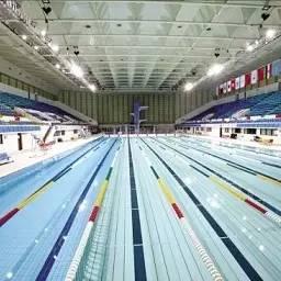 广州市有什么游泳馆