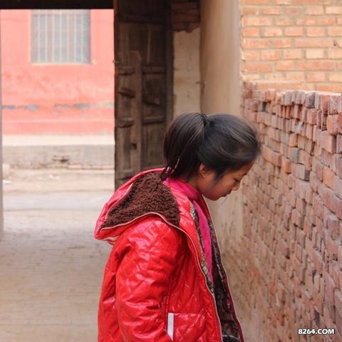 邯郸市适合的植物的长尾关键词有什么