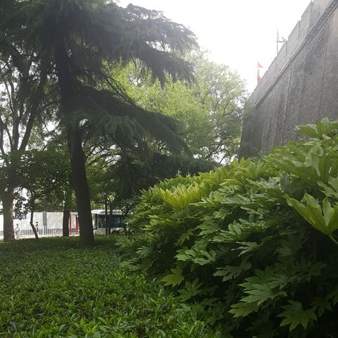 西安市城墙怎么拍好看