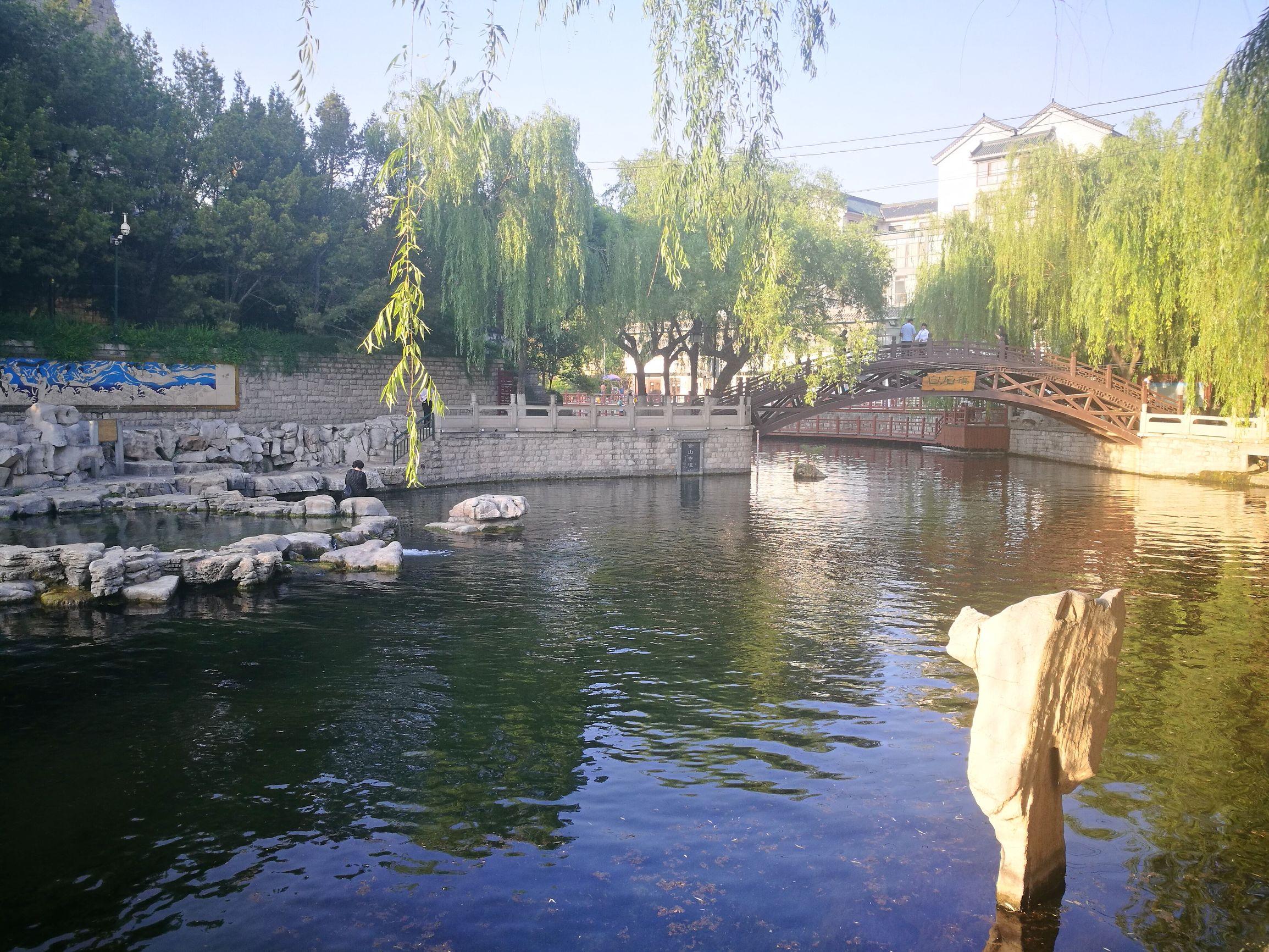 济南女宝宝起名字怎么收费(在济南怎样办理准生证)