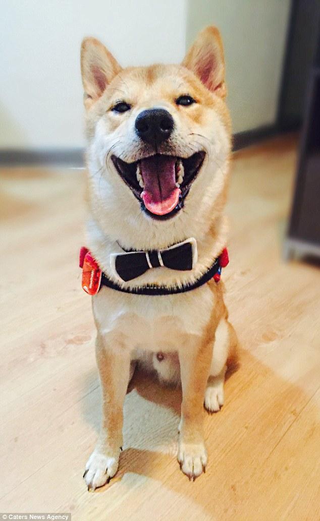 不久站的工作有哪些找工作找58同城