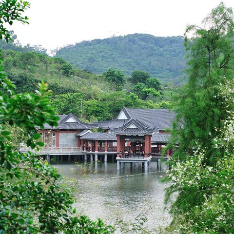 东莞市哪里学摄影