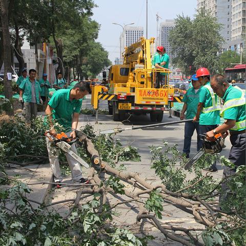 石家庄市巡查组2021的长尾关键词有哪些