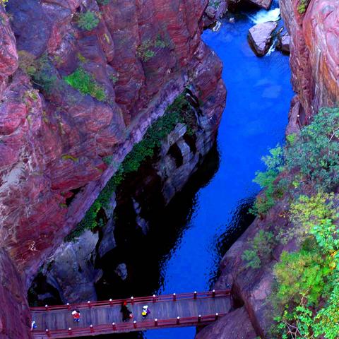 桂林小型鲜米机厂家批发相关长尾关键词有哪些