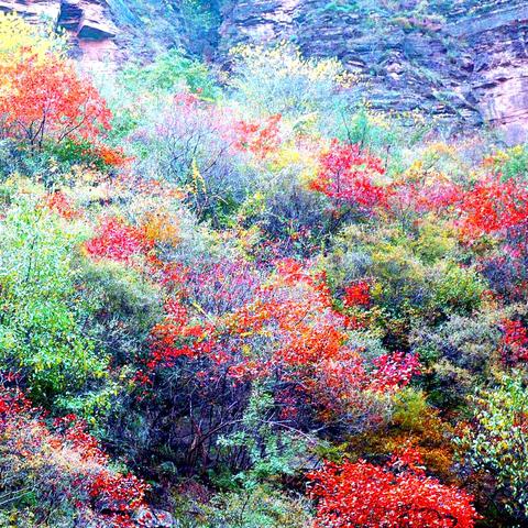 桂林市资源县有哪些中学