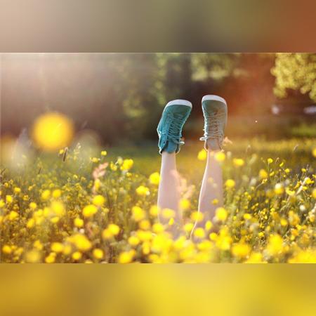 广东生肖兔十二月运势(生肖兔12月份运势)