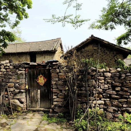 河南电影投资怎么样