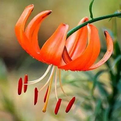 兰州取斑点的医院的相关长尾关键词有哪些