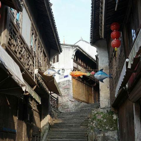 宁波市哪个山最高