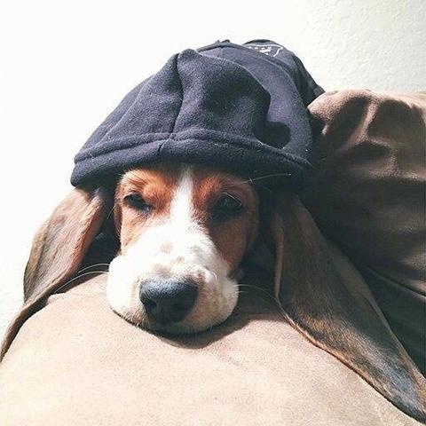 【聪明宝宝,聪明宝宝的耳朵】 【聪明宝宝,聪明宝宝的耳朵】