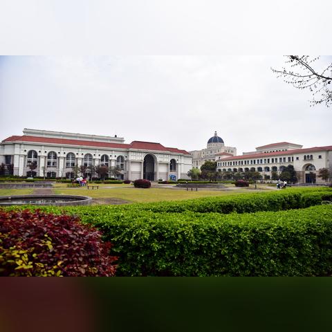 上海在建大学有哪些学校