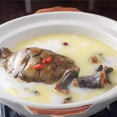 长沙姜蛇相关长尾关键词有哪些