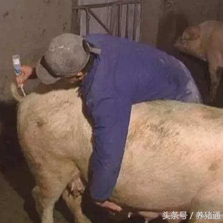 人工智能专业弊端是什么