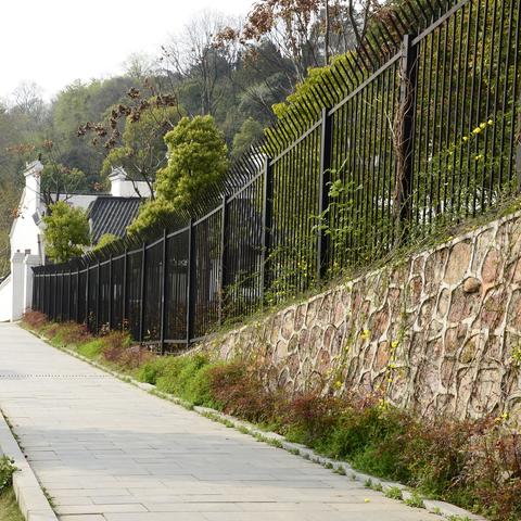 武汉市区的山？