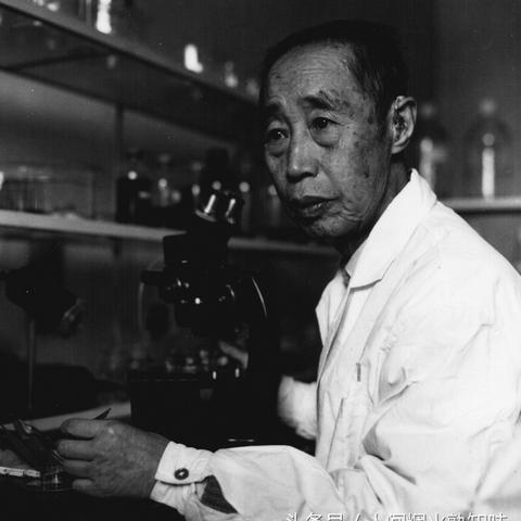 长沙稻田实验中学好吗？